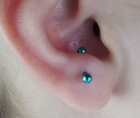 Liquid Courage Piercing Gallery: Anti Tragus Piercing