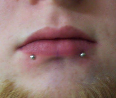 Liquid Courage Piercing Gallery: Snake Bites Piercing