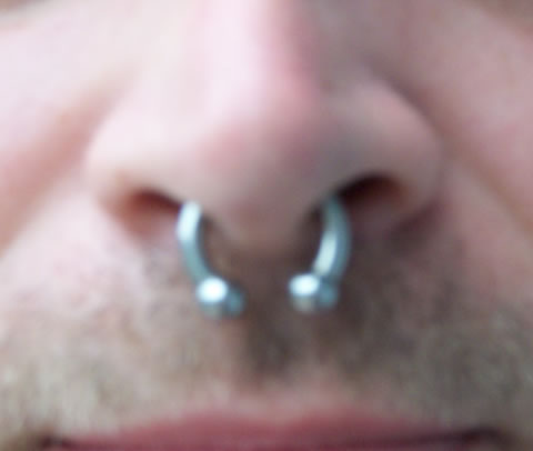 Liquid Courage Piercing Gallery: Septum Piercing