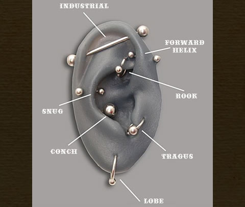 Liquid Courage Piercing Gallery: Diagram